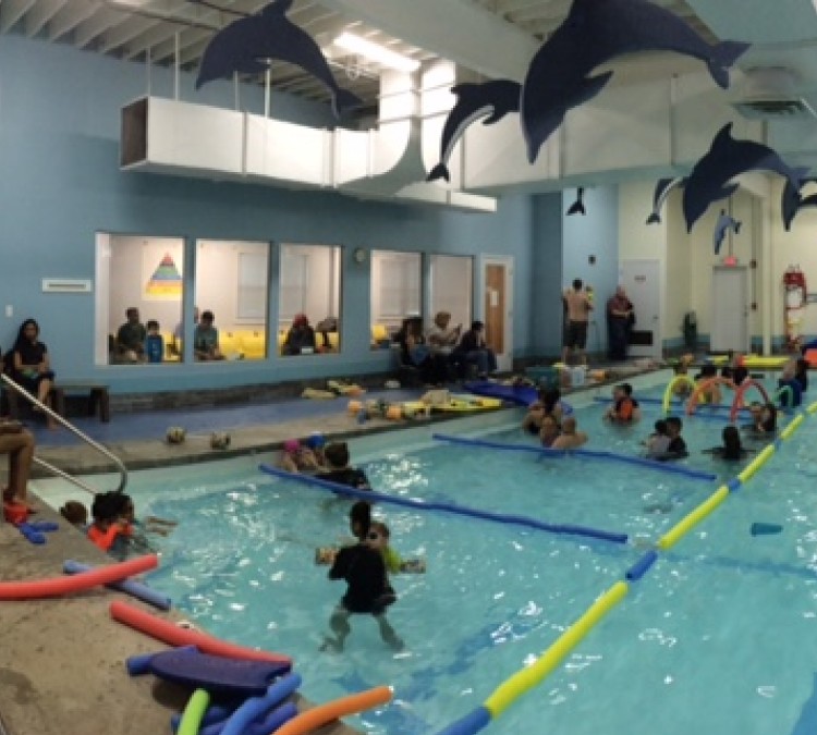 The Little Dolphin Swim Academy (Bound&nbspBrook,&nbspNJ)